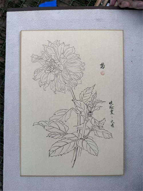 图片4.JPG
