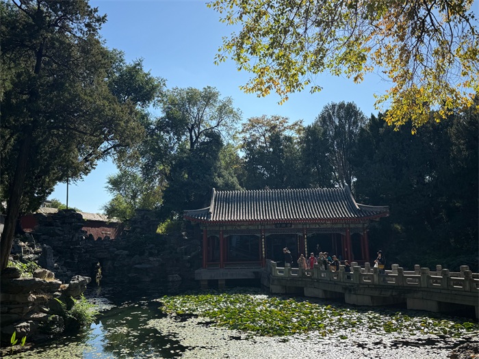 图片2.JPG