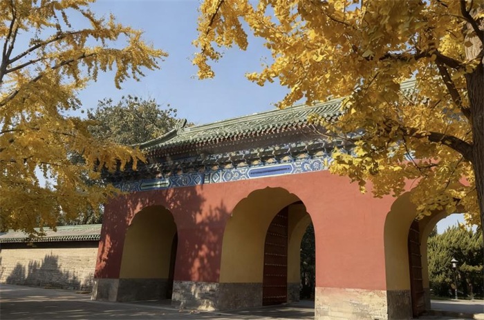 图片2.JPG